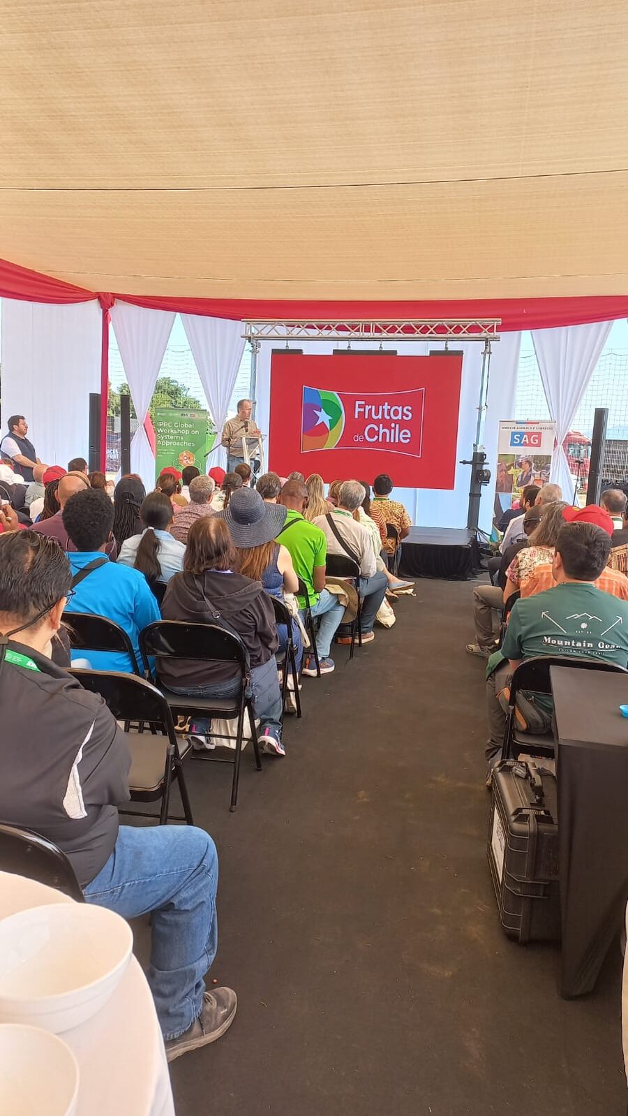 Asistentes bajo una carpa siguiendo la presentación, con los pendones del taller global de la IPPC, Frutas de Chile y el SAG